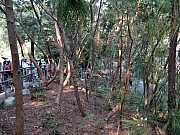 PA210005.JPG (306786 bytes)