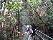 PA210006.JPG (309759 bytes)