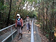 PA210007.JPG (266399 bytes)