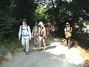 PA210015.JPG (212320 bytes)