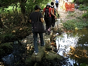 PA210053.JPG (233767 bytes)