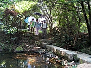 PA210054.JPG (291310 bytes)