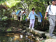 PA210055.JPG (268241 bytes)