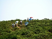 PA210060.JPG (172463 bytes)