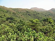 PA210065.JPG (280578 bytes)