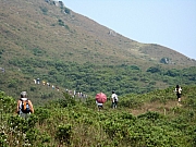 PA210067.JPG (206141 bytes)