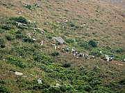 PA210068.JPG (257828 bytes)