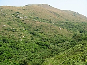 PA210069.JPG (253281 bytes)