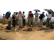 PA210079.JPG (167917 bytes)