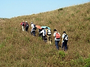 PA210081.JPG (265337 bytes)