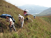 PA210084.JPG (243342 bytes)