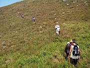 PA210085.JPG (268051 bytes)