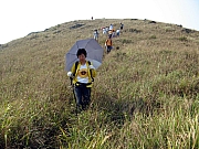 PA210116.JPG (266673 bytes)