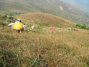 PA210119.JPG (286278 bytes)