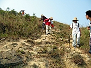 PA210123.JPG (248769 bytes)