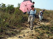 PA210124.JPG (285465 bytes)