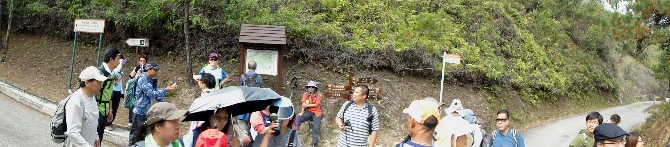 P1080134-1.JPG (815844 bytes)