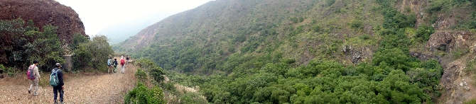 P2120085-1.JPG (761941 bytes)