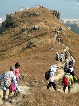 PC060101.JPG (241636 bytes)