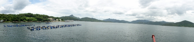 P7220267-1.JPG (437068 bytes)