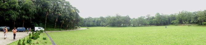 P8050043-1.JPG (620471 bytes)