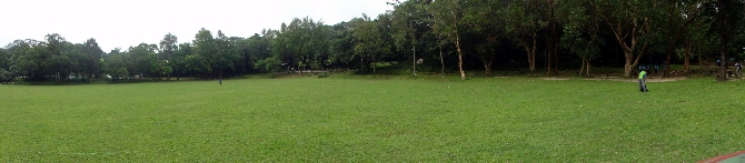 P8050044-1.JPG (605343 bytes)