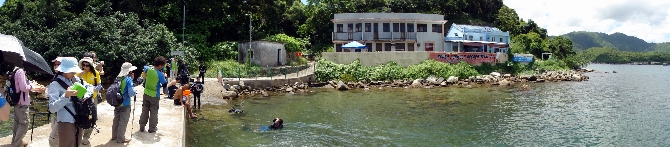 P9020052-1.JPG (812530 bytes)