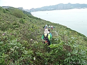 Thumbnail of pic_KC_Leung_016.jpg