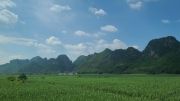 Thumbnail of pic_KL_Sin_008.jpg