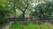 Thumbnail of pic_KL_Sin_103.jpg