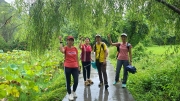 Thumbnail of pic_KL_Sin_123.jpg