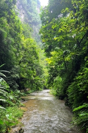 Thumbnail of pic_KL_Sin_149.jpg