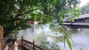 Thumbnail of pic_KL_Sin_210.jpg