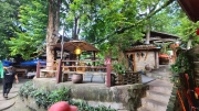 Thumbnail of pic_KL_Sin_214.jpg
