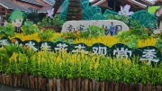 Thumbnail of pic_KL_Sin_264.jpg