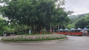 Thumbnail of pic_KL_Sin_278.jpg