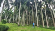 Thumbnail of pic_KL_Sin_320.jpg