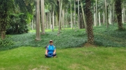 Thumbnail of pic_KL_Sin_323.jpg