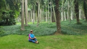 Thumbnail of pic_KL_Sin_324.jpg