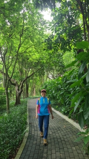 Thumbnail of pic_KL_Sin_336.jpg