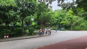 Thumbnail of pic_KL_Sin_339.jpg