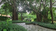 Thumbnail of pic_KL_Sin_341.jpg
