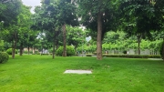 Thumbnail of pic_KL_Sin_342.jpg