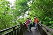 Thumbnail of pic_KL_Sin_346.jpg