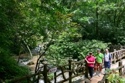 Thumbnail of pic_KL_Sin_349.jpg