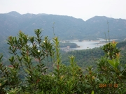 Thumbnail of pic_LK_Cheung_073.JPG