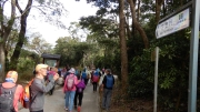 Thumbnail of pic_CW_Ho_031.JPG