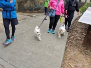 Thumbnail of pic_XF_Liu_056.jpg