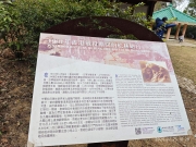 Thumbnail of pic_XF_Liu_058.jpg