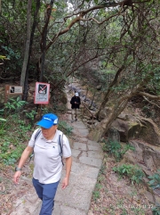 Thumbnail of pic_XF_Liu_097.jpg